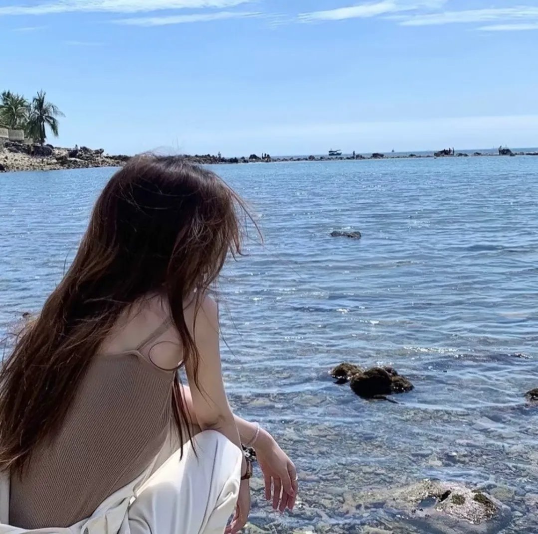 多瑙河行动