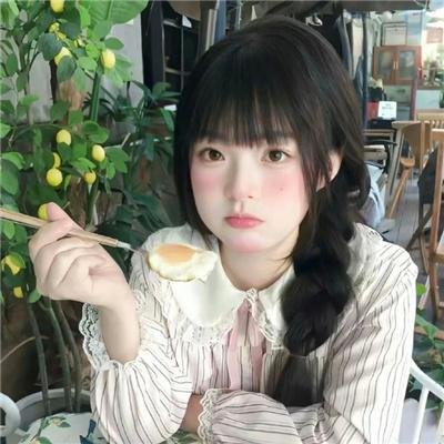 鹰狼传奇